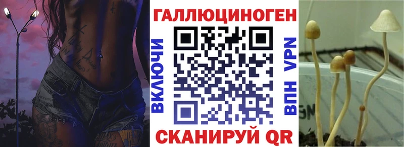 Галлюциногенные грибы Cubensis  Воронеж 